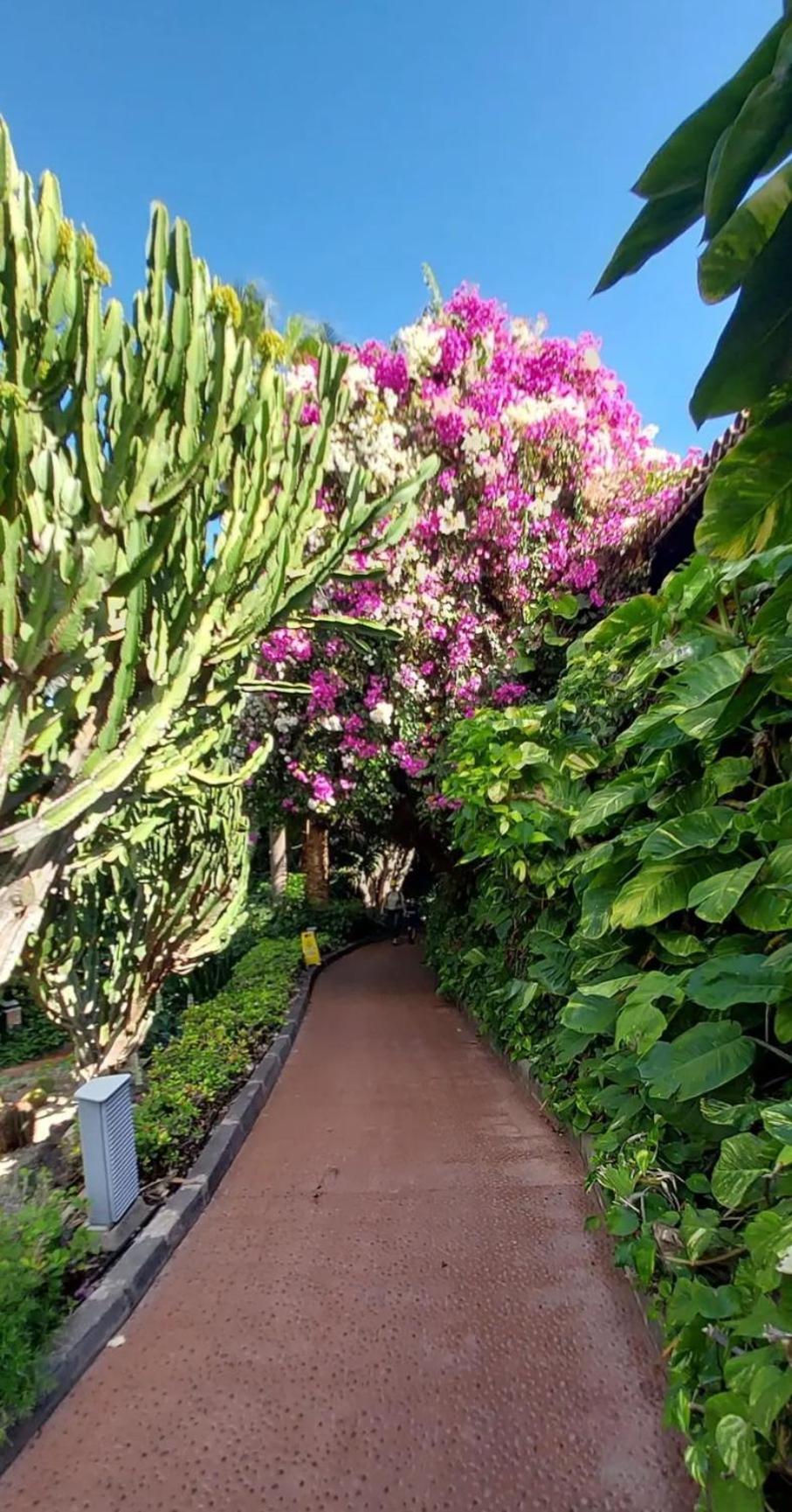 "Cathy'S Home"- Apart Luxury - Adult Only - Large Terrace Private Puerto de Santiago  Exterior photo